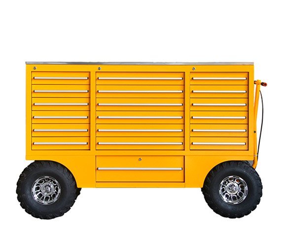 LS-004 PIT CART